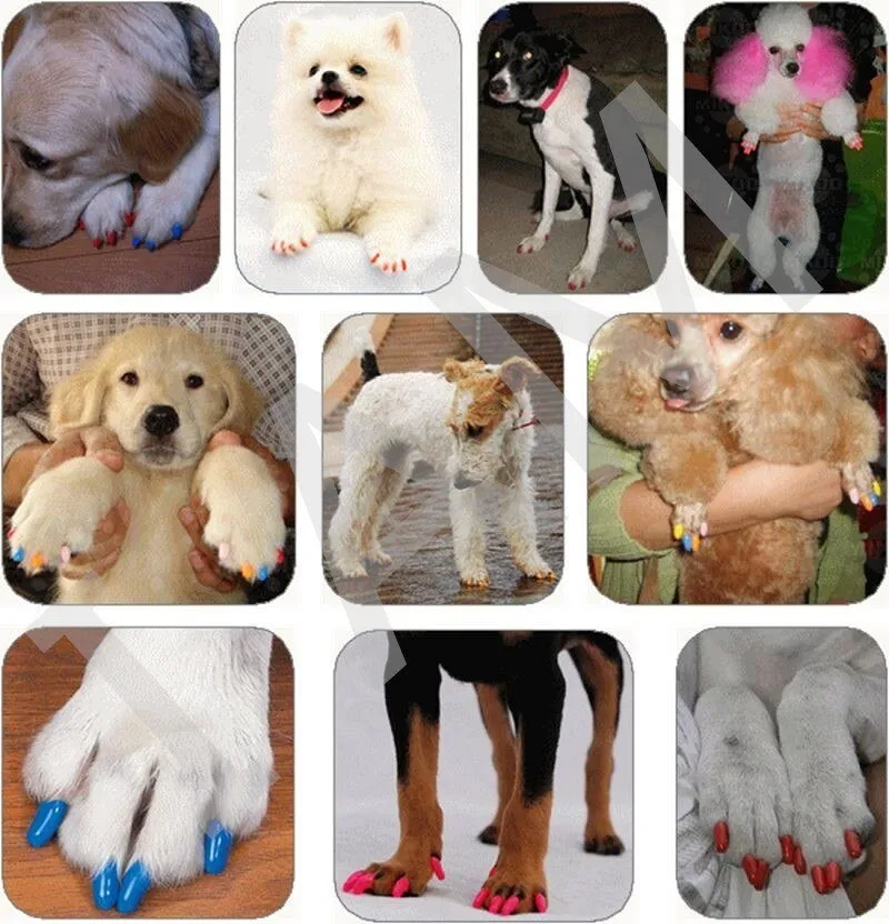 Woof  Soft Vinyl  Protective Nail Covbers