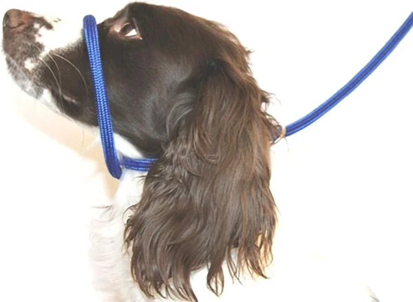 Wild Extreme Anti Pull Dog Training Leads